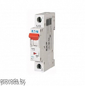 картинка Автоматический выключатель PL7, 1P, 1А, тип B, 10,0кА, 1M от интернет-магазина "PROVODA.BY"